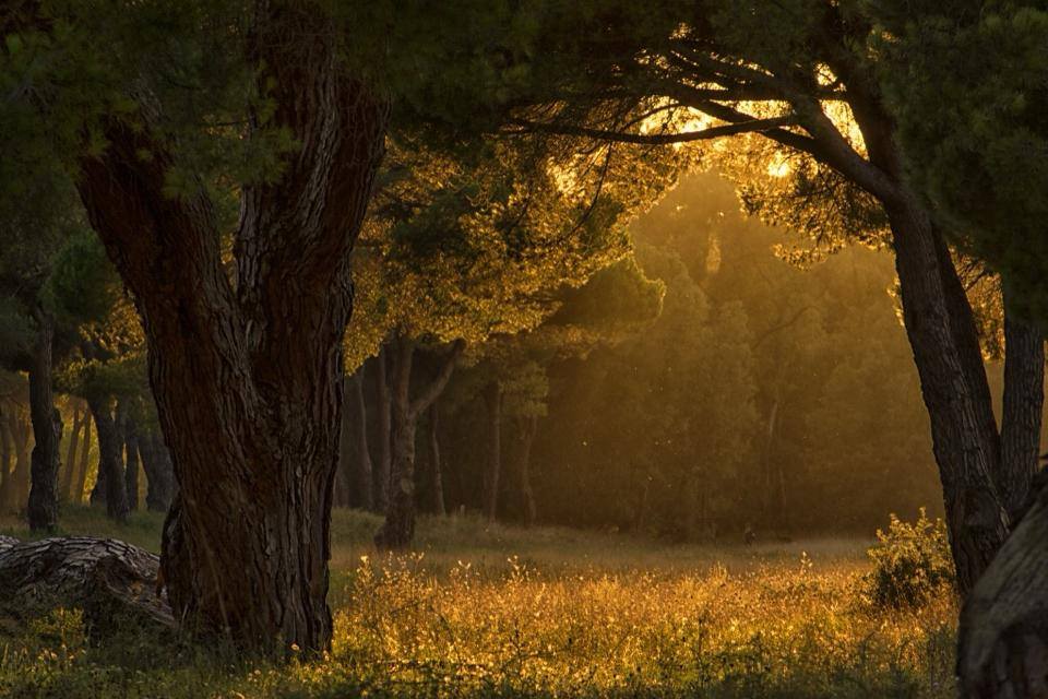 Che cosa chiamiamo davvero natura?